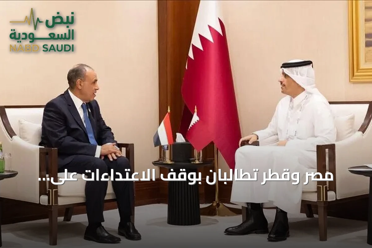 مصر وقطر تطالبان بوقف الاعتداءات على السعودية وتعززان التعاون العربي