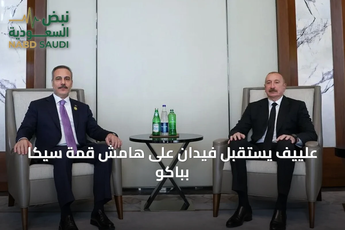 علييف يستقبل فيدان على هامش قمة سيكا بباكو