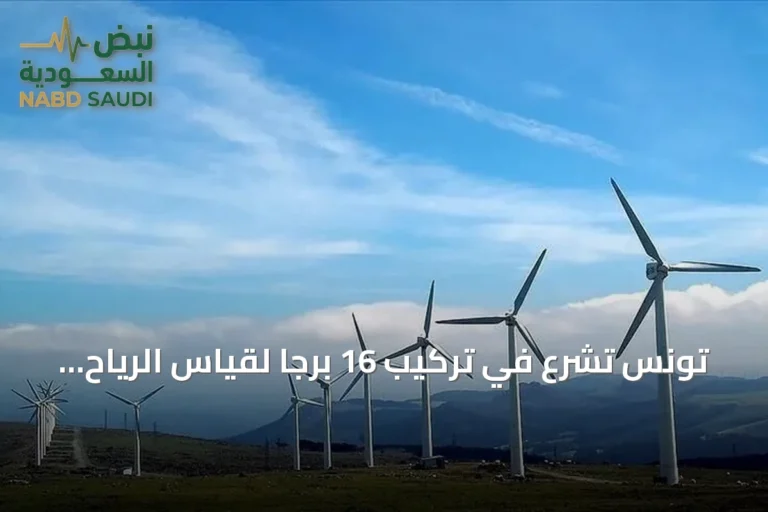 تونس تشرع في تركيب 16 برجاً لقياس الرياح تمهيداً لمشاريع طاقة ضخمة