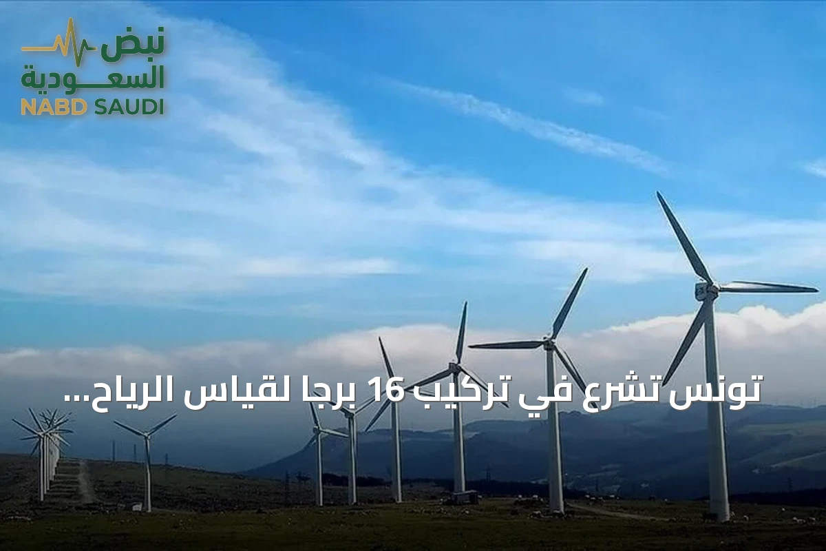 تونس تشرع في تركيب 16 برجاً لقياس الرياح تمهيداً لمشاريع طاقة ضخمة