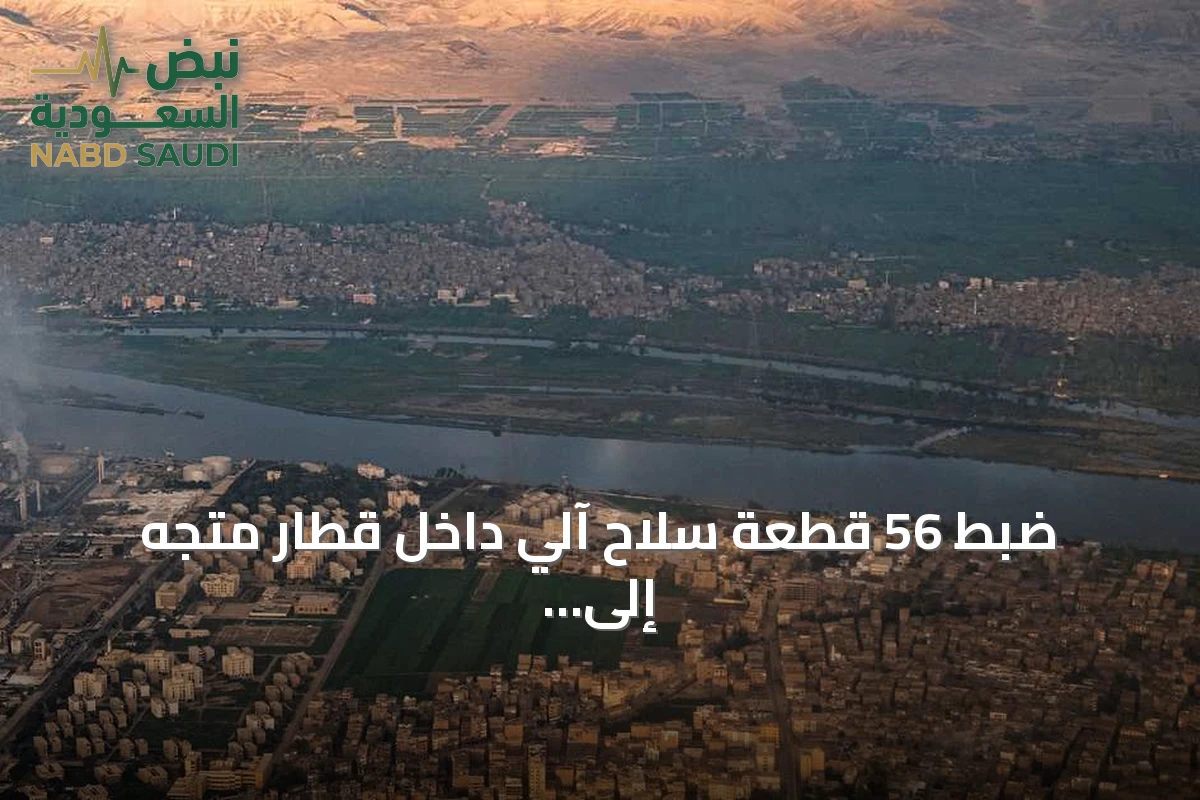 ضبط 56 قطعة سلاح آلي داخل قطار متجه إلى القاهرة من أسوان