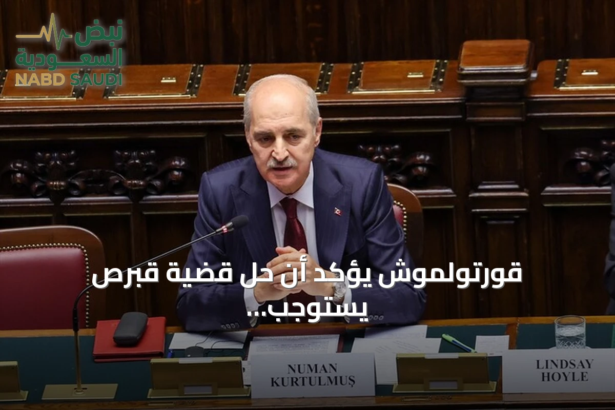 قورتولموش يؤكد أن حل قضية قبرص يستوجب مشاركة القبارصة الأتراك