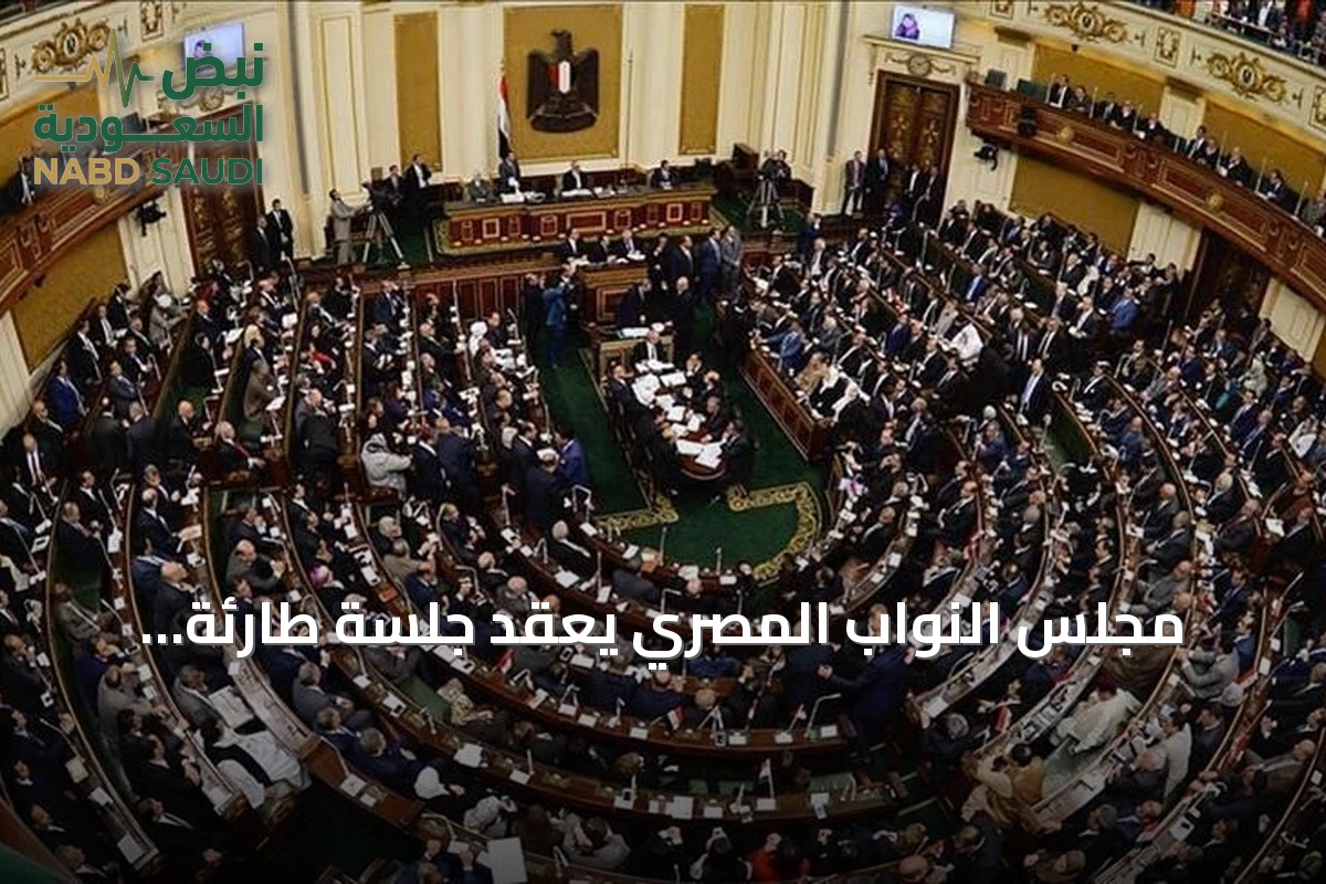 مجلس النواب المصري يعقد جلسة طارئة لمناقشة تفويض الدفاع عن السعودية