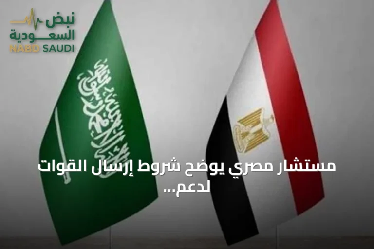 مستشار مصري يوضح شروط إرسال القوات لدعم السعودية ضد الحوثيين