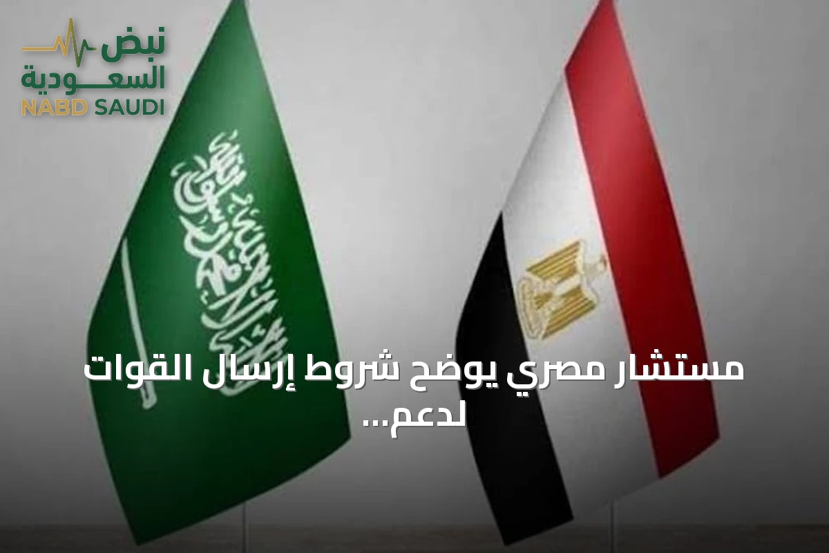 مستشار مصري يوضح شروط إرسال القوات لدعم السعودية ضد الحوثيين