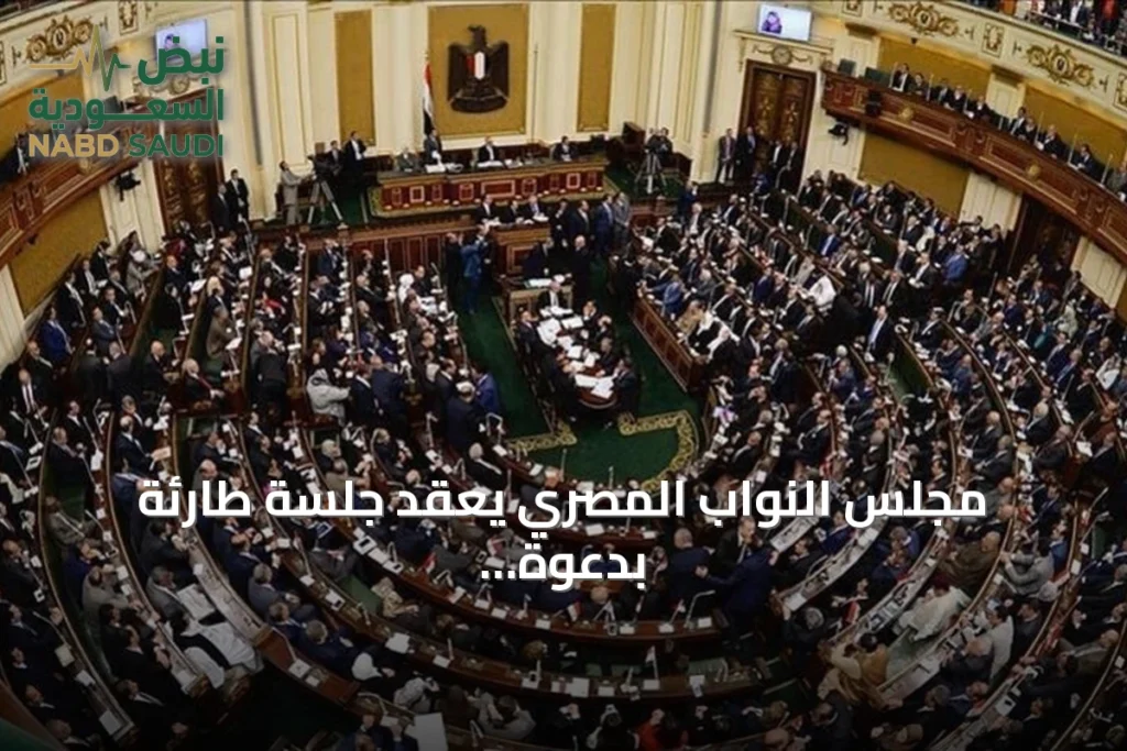 مجلس النواب المصري يعقد جلسة طارئة بدعوة من السيسي لمناقشة دعم السعودية