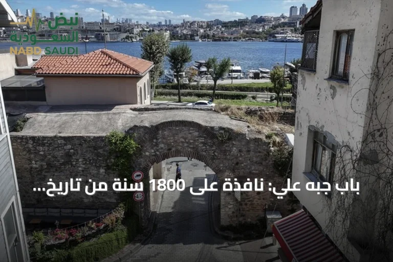 باب جبه علي: نافذة على 1800 سنة من تاريخ إسطنبول