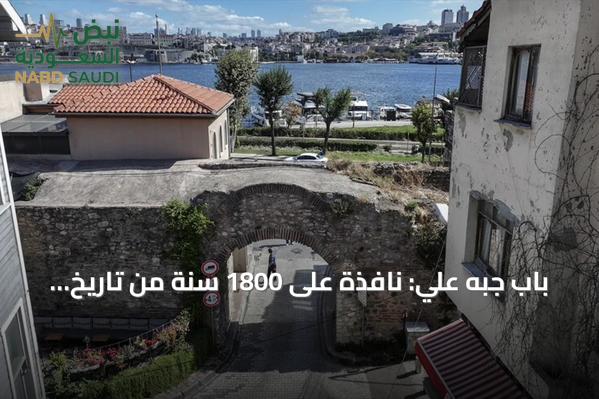 باب جبه علي: نافذة على 1800 سنة من تاريخ إسطنبول