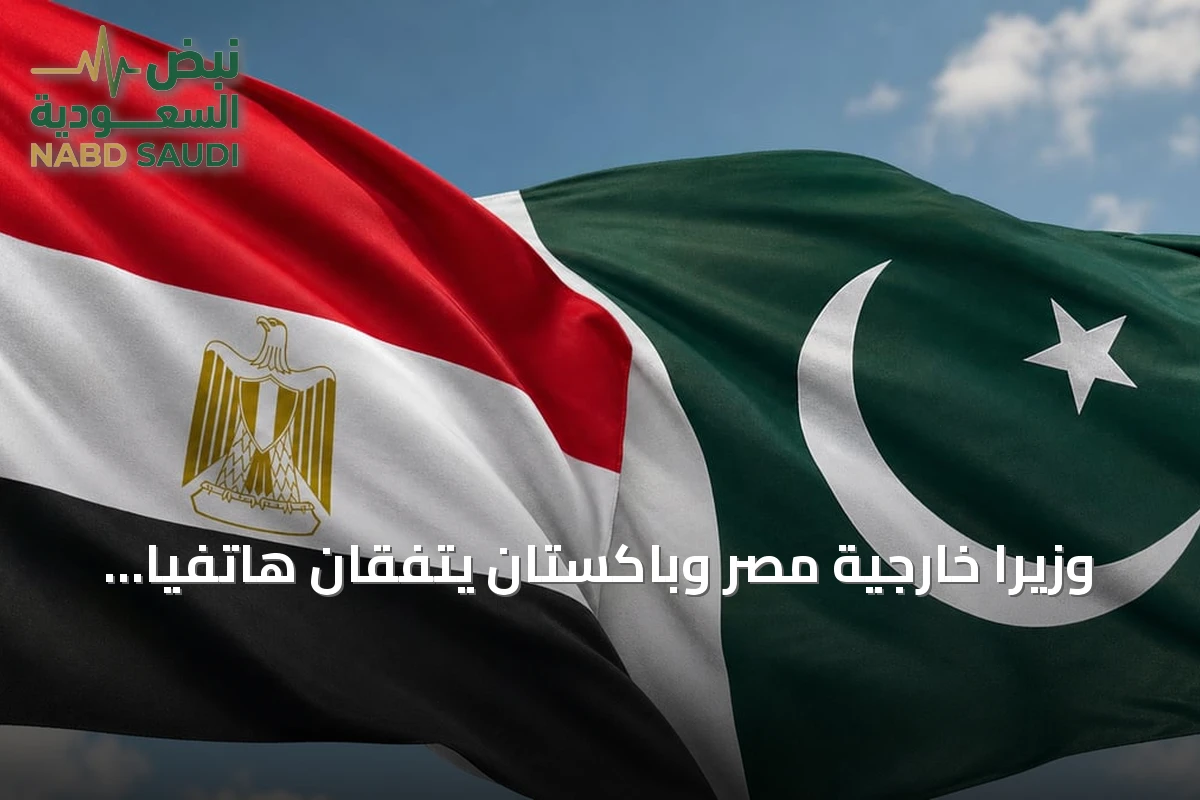وزيرا خارجية مصر وباكستان يتفقان هاتفيًا على خفض التصعيد وتعزيز الاستقرار الإقليمي