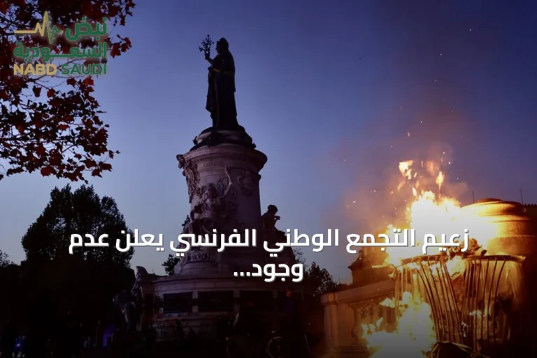 زعيم التجمع الوطني الفرنسي يعلن عدم وجود نظام في البلاد بعد احتجاجات السترات الصفراء