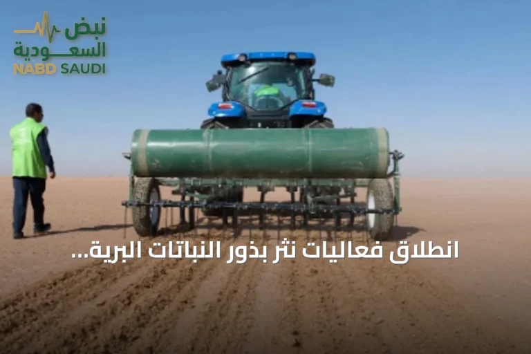 انطلاق فعاليات نثر بذور النباتات البرية والرعوية بحفر الباطن ضمن مبادرة إعادة تأهيل المراعي