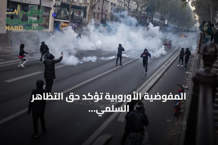 المفوضية الأوروبية تؤكد حق التظاهر السلمي وتدين العنف في احتجاجات فرنسا