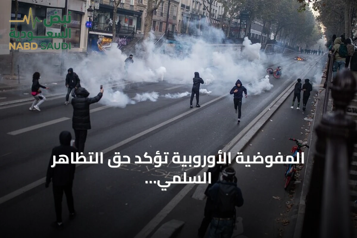 المفوضية الأوروبية تؤكد حق التظاهر السلمي وتدين العنف في احتجاجات فرنسا