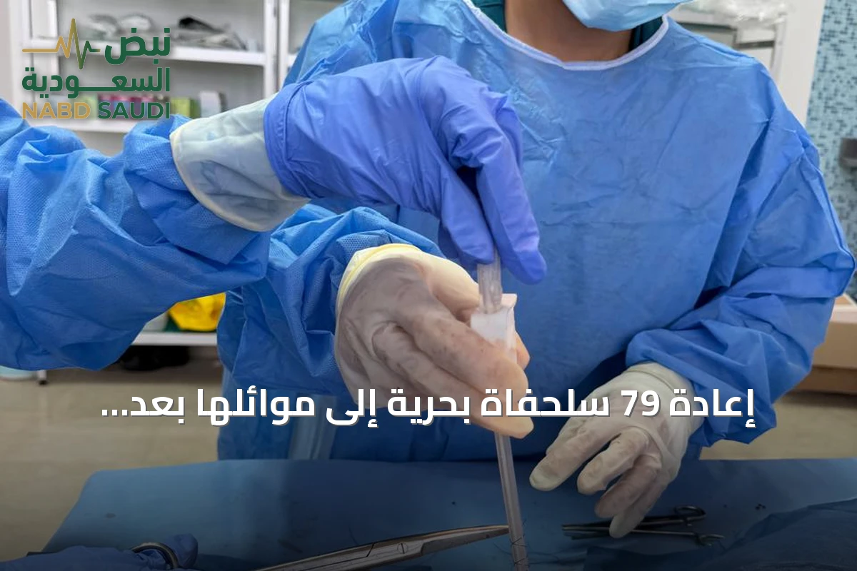 إعادة 79 سلحفاة بحرية إلى موائلها بعد تأهيلها في المؤسسة العامة للمحافظة على الشعاب المرجانية والسلاحف بالبحر الأحمر