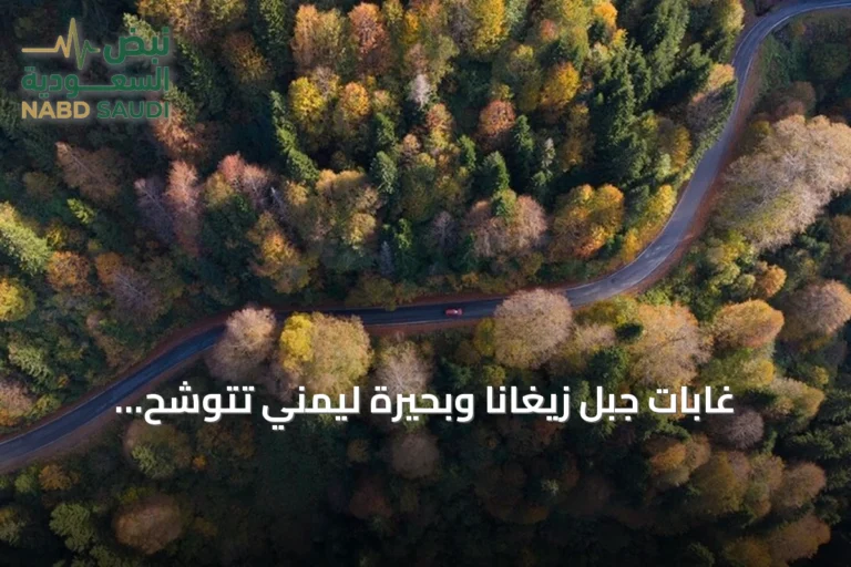 غابات جبل زيغانا وبحيرة ليمني تتوشح بألوان الخريف في غوموشهانة