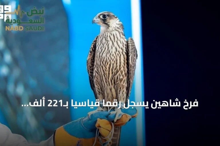 فرخ شاهين يسجل رقمًا قياسيًا بـ221 ألف ريال في مزاد المركز الوطني للصقور 2026