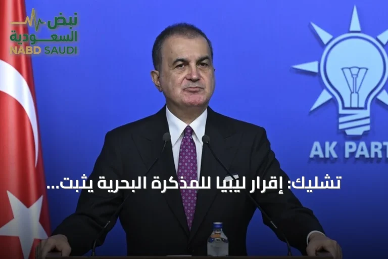 تشليك: إقرار ليبيا للمذكرة البحرية يثبت أحقية الموقف التركي