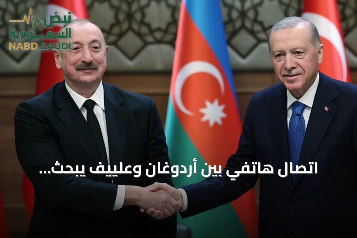 اتصال هاتفي بين أردوغان وعلييف يبحث التعاون الثنائي والقضايا الإقليمية والدولية