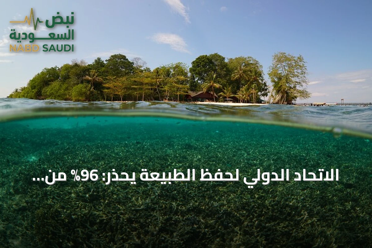الاتحاد الدولي لحفظ الطبيعة يحذر: 96% من الشعاب المرجانية في المياه الضحلة مهددة بالانهيار بحلول 2075