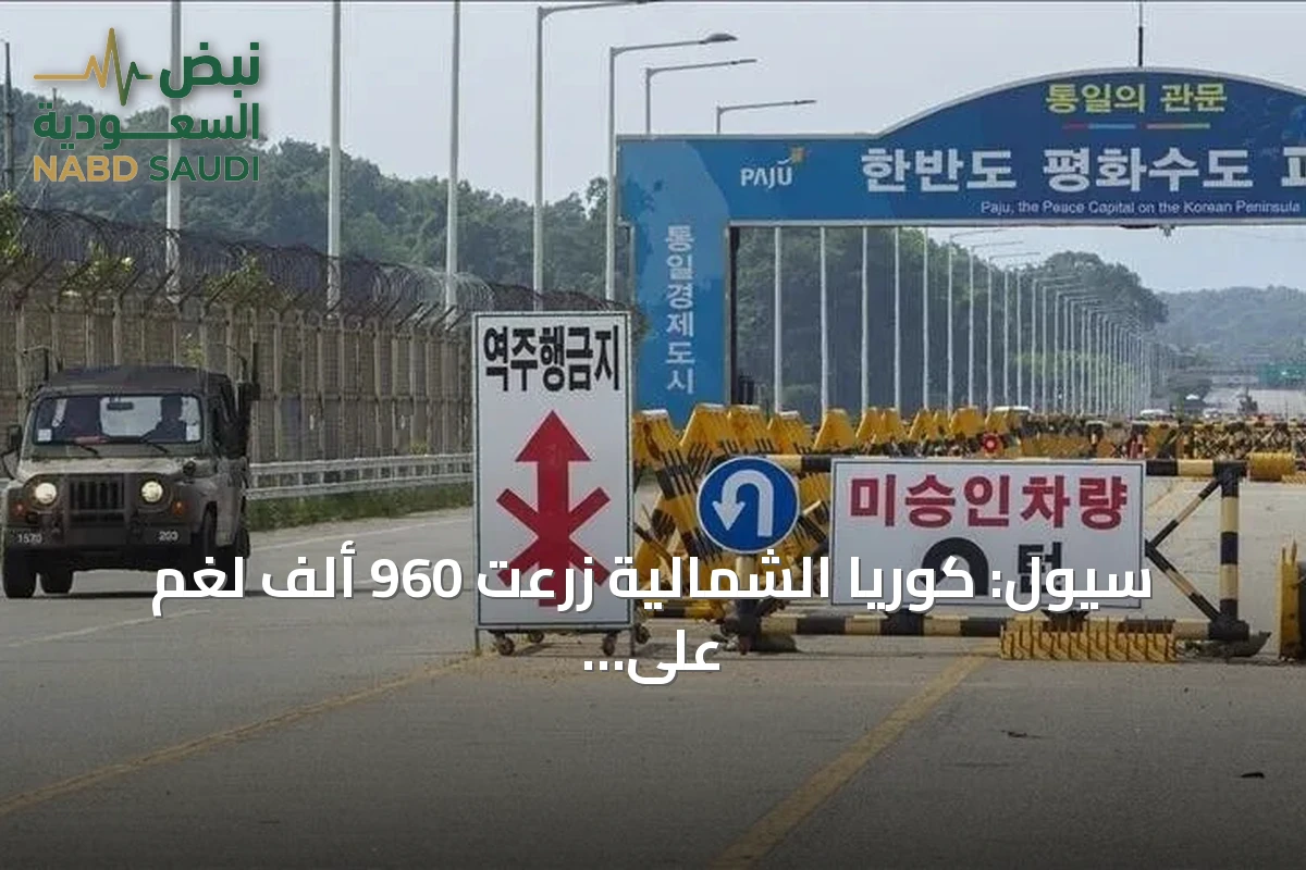 سيول: كوريا الشمالية زرعت 960 ألف لغم على الحدود منذ عام 2024