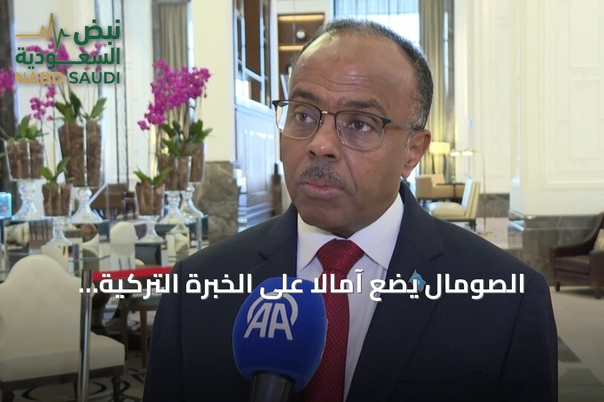 الصومال يضع آمالاً على الخبرة التركية لدفع عجلة التنمية في قطاعات الإنتاج