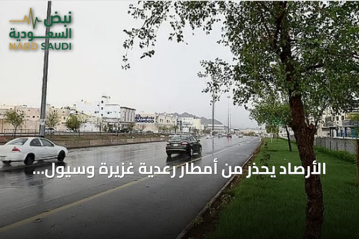 الأرصاد يحذر من أمطار رعدية غزيرة وسيول في 10 مناطق يوم الإثنين