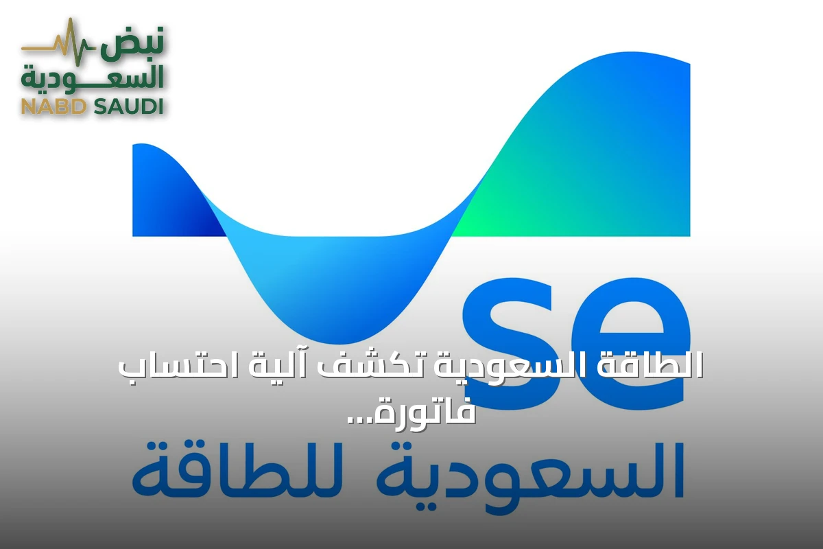 الطاقة السعودية تكشف آلية احتساب فاتورة الكهرباء والفروق الجوهرية بين الرسوم الثابتة والاستهلاكية