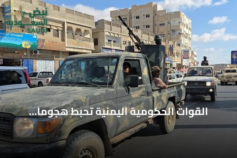 القوات الحكومية اليمنية تحبط هجوماً للحوثيين في تعز وتُسقط مسيّرة