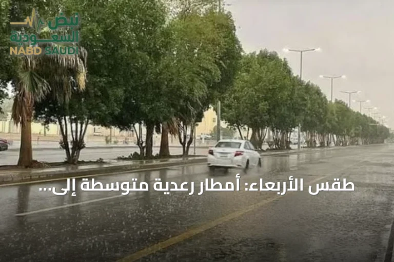 طقس الأربعاء: أمطار رعدية متوسطة إلى غزيرة مع زخات برد على عدة مناطق