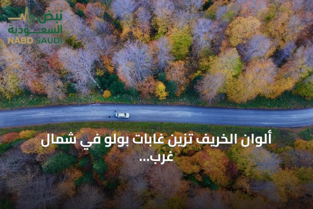 ألوان الخريف تزين غابات بولو في شمال غرب تركيا