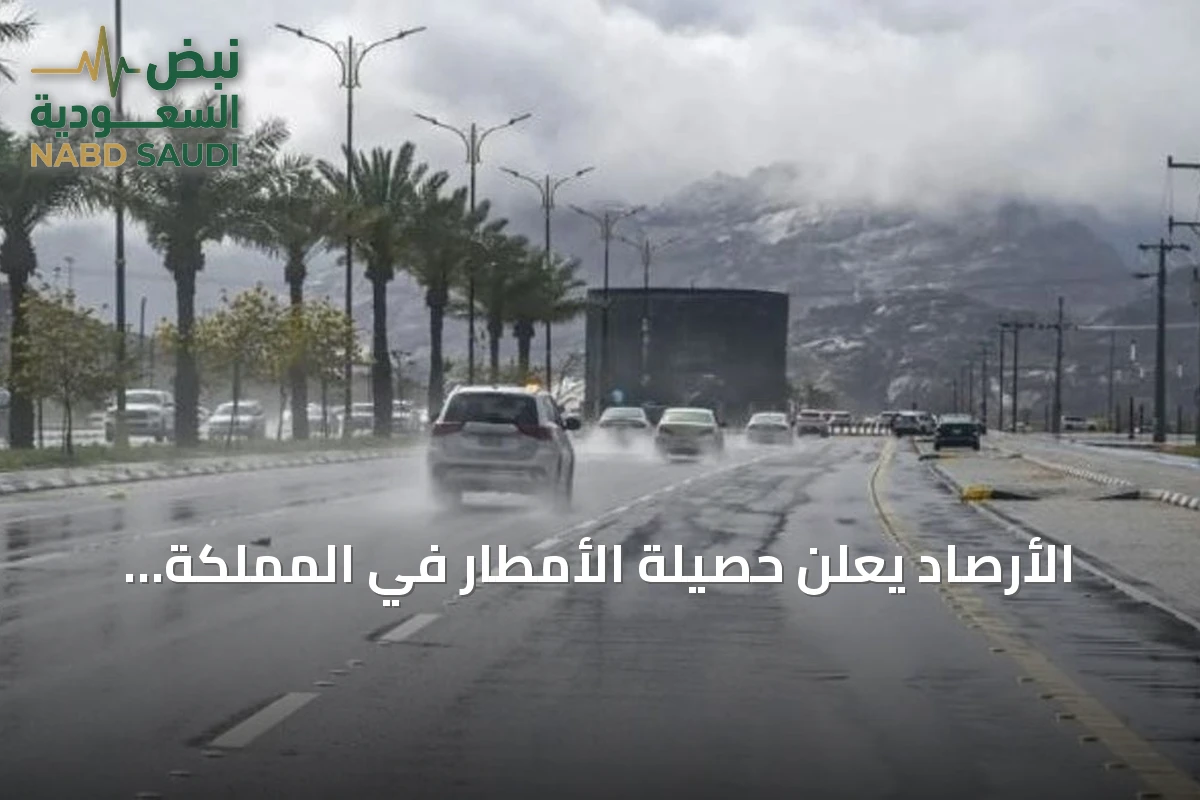 الأرصاد يعلن حصيلة الأمطار في المملكة خلال 24 ساعة وتبوك تتصدر بـ 66.8 ملم