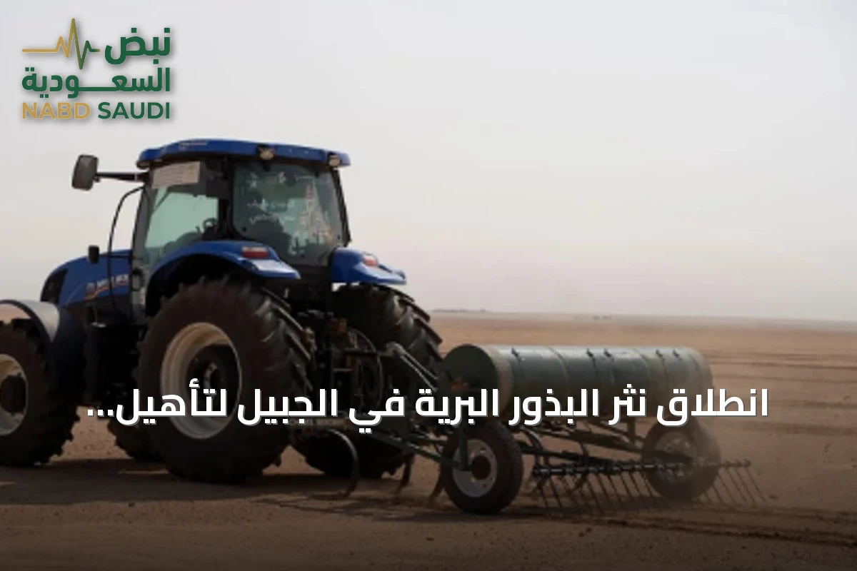 انطلاق نثر البذور البرية في الجبيل لتأهيل المراعي الطبيعية