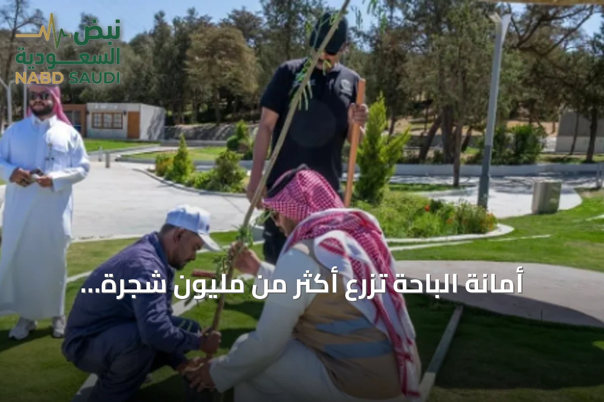 أمانة الباحة تزرع أكثر من مليون شجرة لتعزيز الاستدامة البيئية وتحسين جودة الحياة