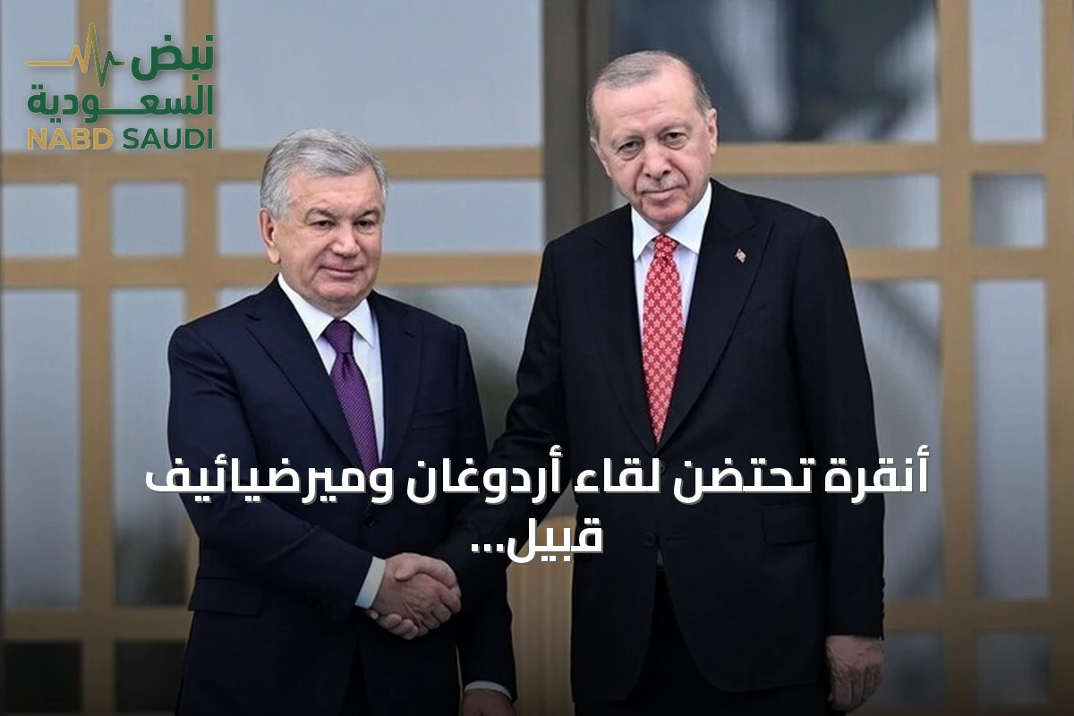 أنقرة تحتضن لقاء أردوغان وميرضيائيف قبيل قمة الدول التركية