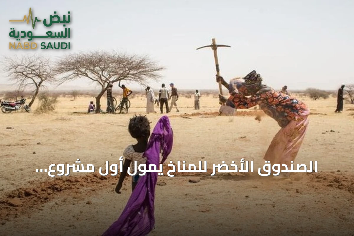 الصندوق الأخضر للمناخ يموّل أول مشروع جزائري بـ100 مليون دولار لمكافحة التصحر