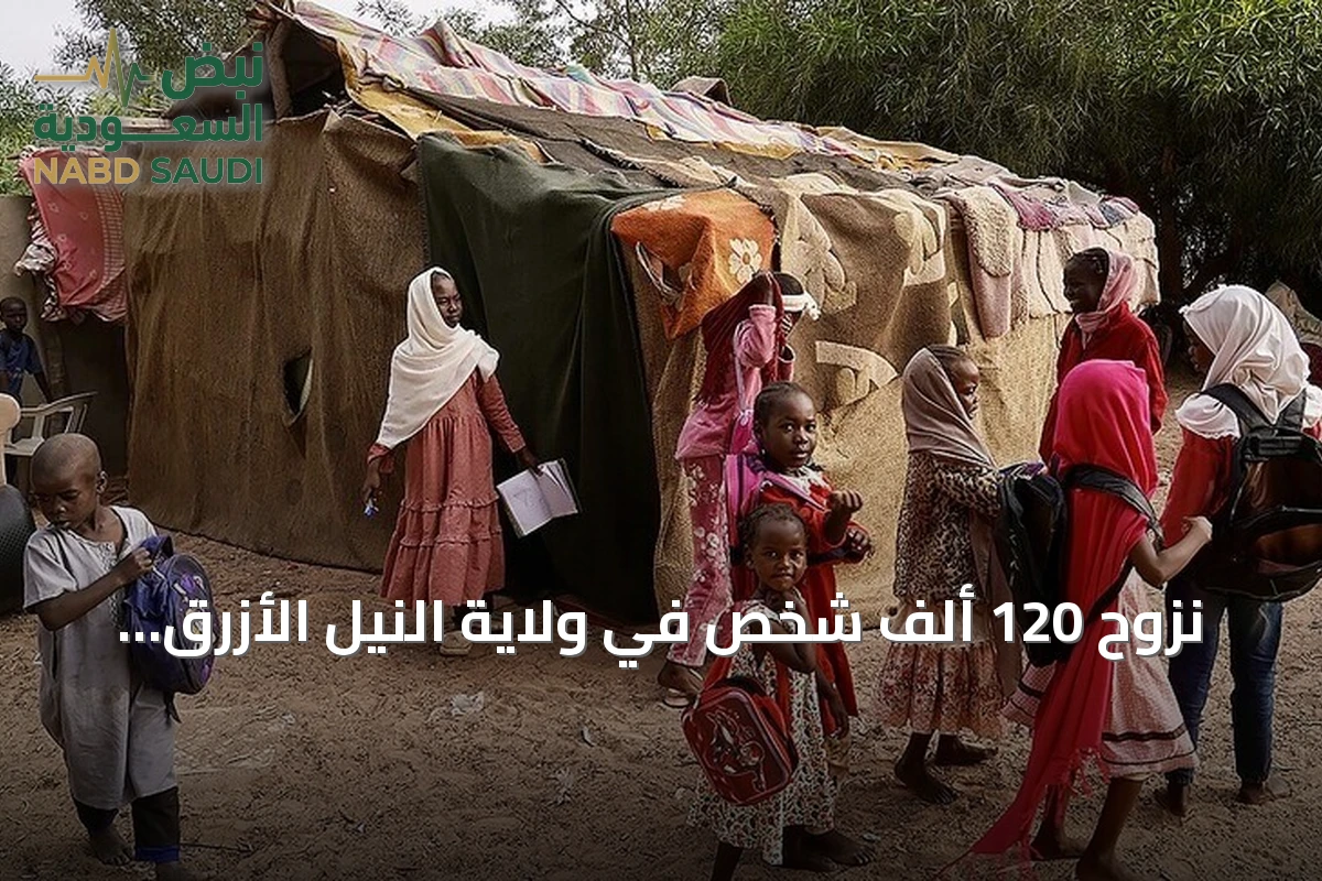 نزوح 120 ألف شخص في ولاية النيل الأزرق بالسودان منذ يناير