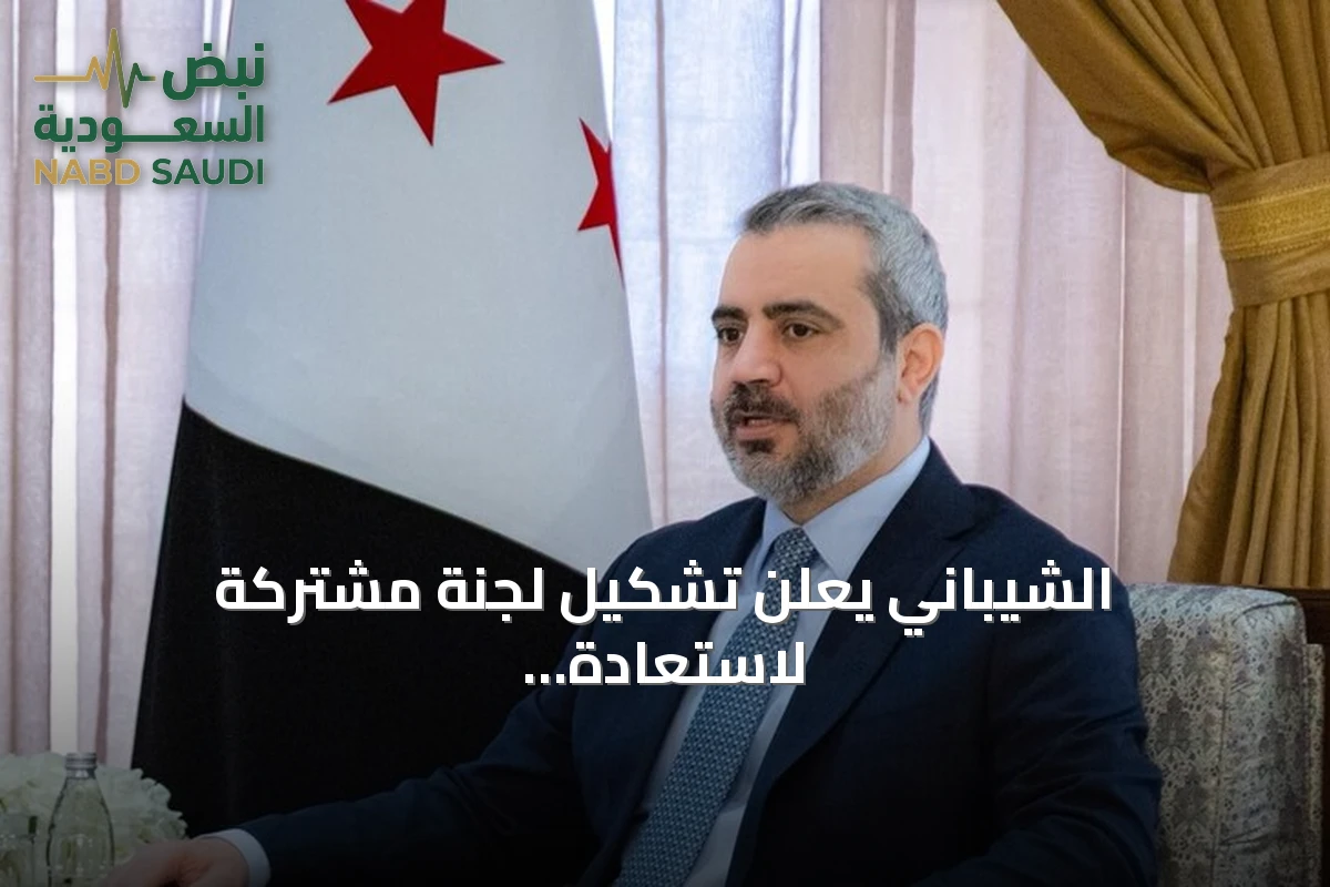 الشيباني يعلن تشكيل لجنة مشتركة لاستعادة الحقوق بعد الغارات الأردنية على درعا