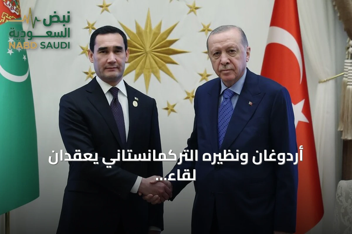أردوغان ونظيره التركمانستاني يعقدان لقاءً في أنقرة بعد قمة المنظمة التركية
