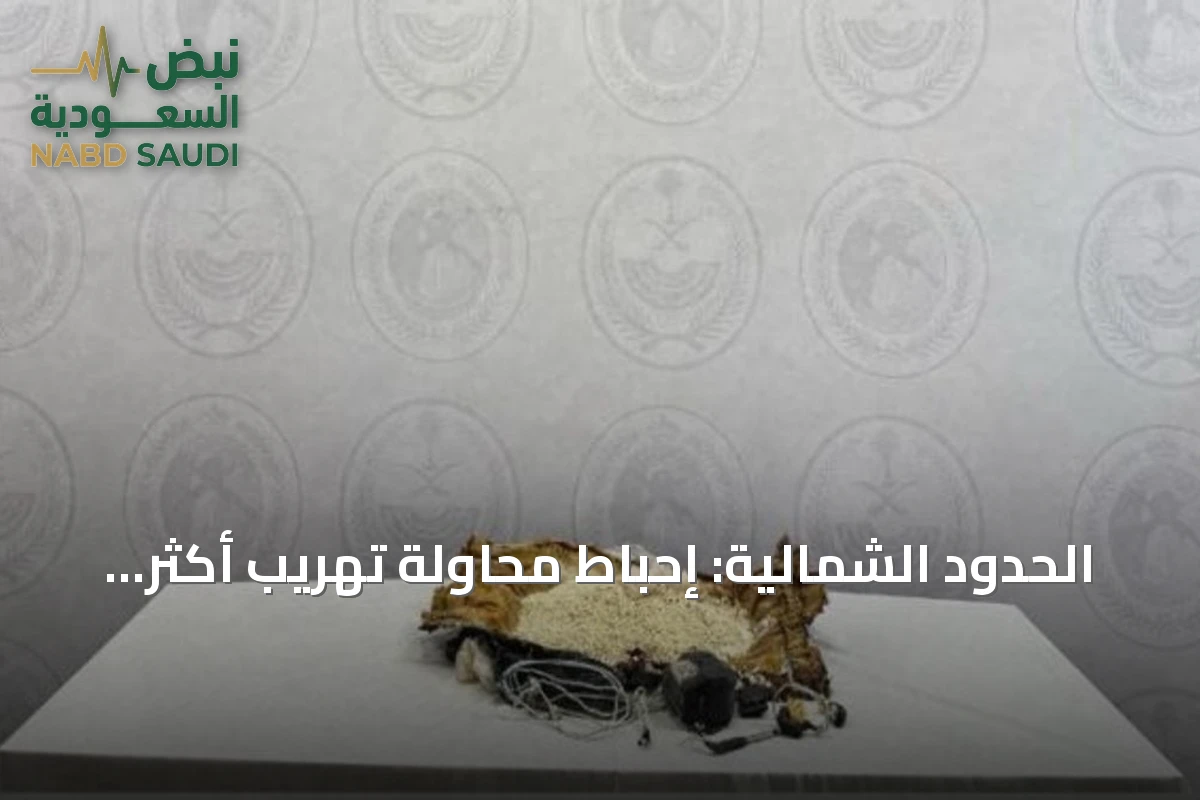 الحدود الشمالية: إحباط محاولة تهريب أكثر من 31 ألف قرص إمفيتامين