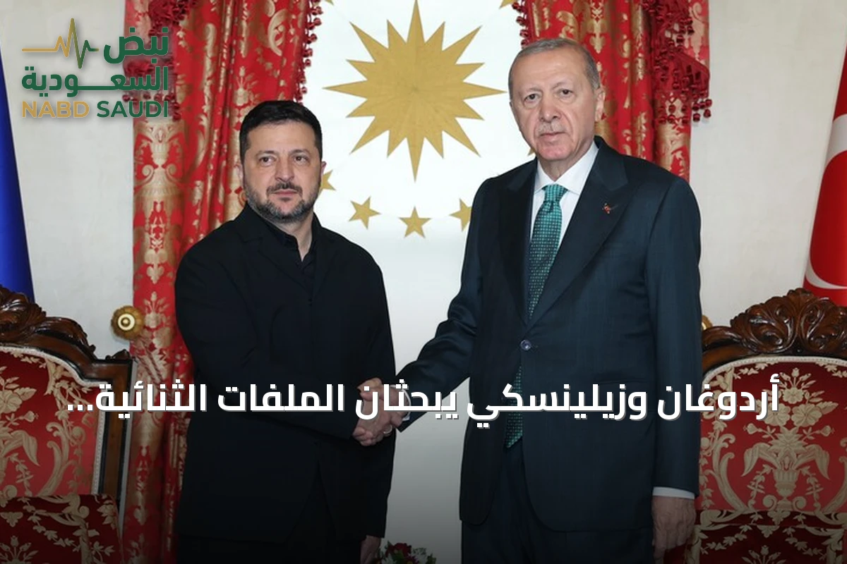 أردوغان وزيلينسكي يبحثان الملفات الثنائية في لقاء بقصر دولمة بهجة