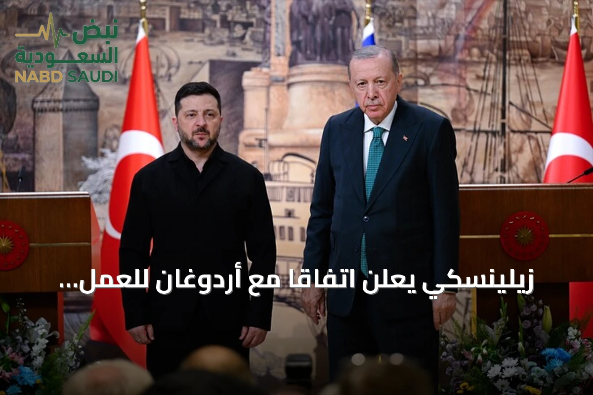 زيلينسكي يعلن اتفاقاً مع أردوغان للعمل على ممر الحبوب في البحر الأسود