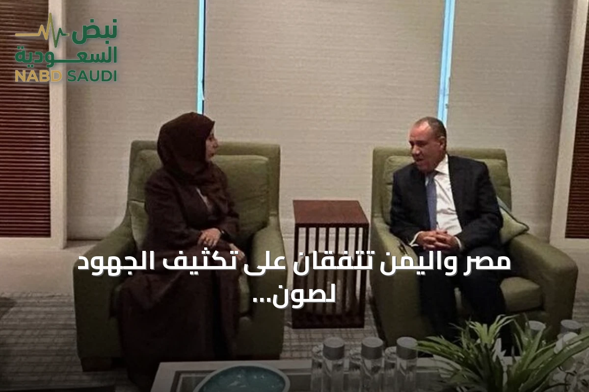 مصر واليمن تتفقان على تكثيف الجهود لصون أمن الملاحة واحتواء التوترات